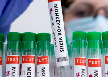 Viruela del mono: ¿qué se sabe sobre este virus?