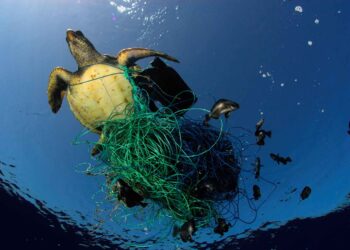 El plástico, la amenaza silenciosa de nuestros océanos