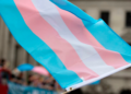 ¿Qué sucedió con los ingresos de la población travesti-trans en pandemia?