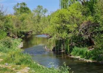 Proponen ampliar la Reserva Natural Urbana San Martín