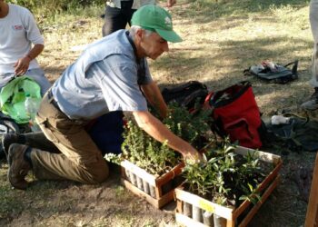Jardineros Sin Fronteras: en lucha por la remediación ambiental