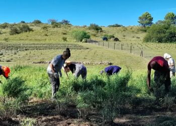 Proyecto Peperina: educación ambiental con olorcito a sierras
