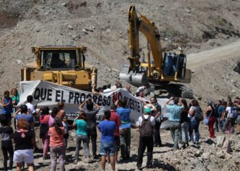 Las vaquitas son ajenas