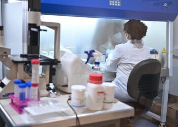 Un equipo de la UNC descubre un compuesto eficaz para el tratamiento contra el cáncer