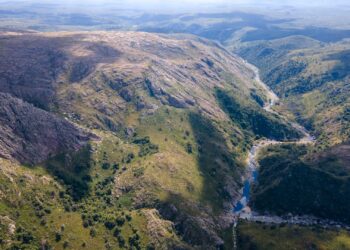 Buscan frenar un loteo sobre el bosque nativo en Cañada del Sauce