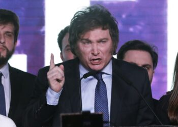 La Patria es Mi-lei: notas de un panorama electoral anunciado