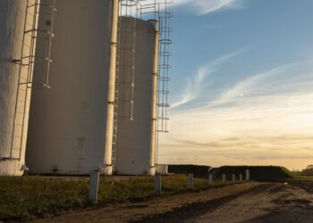 Ticino: el pueblo que convirtió la cáscara de maní en energía renovable