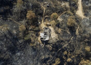 Cuando el fuego pasa, queda la comunidad