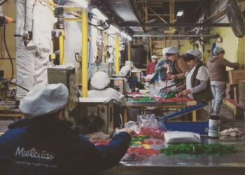 Mielcitas y Naranjú: dos íconos de la infancia que resisten gracias al trabajo cooperativo