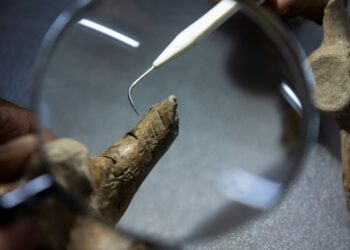Científicos argentinos descubren evidencia humana de 21.000 años en Merlo