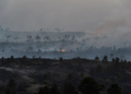 ¿Qué hacer después de los incendios? Consejos de la Fundación Garabato