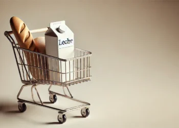 Salario mínimo y canasta básica: radiografía de un poder adquisitivo en caída