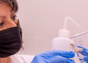 Investigadores de la UNC desarrollan tecnología para reducir el uso de agroquímicos