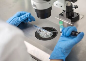 Embryoxite: el avance cordobés con IA que promete mejorar los tratamientos de fertilización asistida