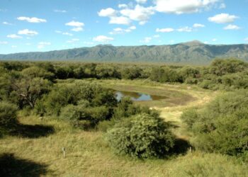 Córdoba pierde diversidad vegetal por el impacto de las actividades humanas