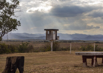 Encontraron restos humanos en el predio de La Perla