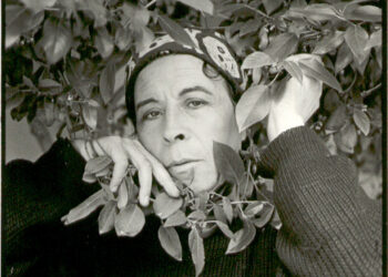 La noche de los visones (o la última fiesta de la Unidad Popular). De Pedro Lemebel.