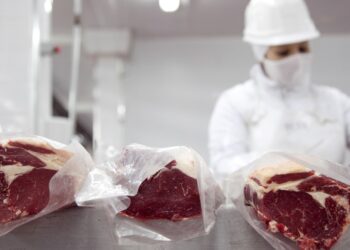 China suspendió un embarque de carne argentina y crecen las dudas sobre los controles