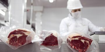 China suspendió un embarque de carne argentina y crecen las dudas sobre los controles