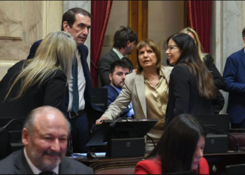 LA EXTRANJERIZACIÓN DE TIERRAS LLEGA AL SENADO EN MEDIO DE UNA FUERTE POLÉMICA